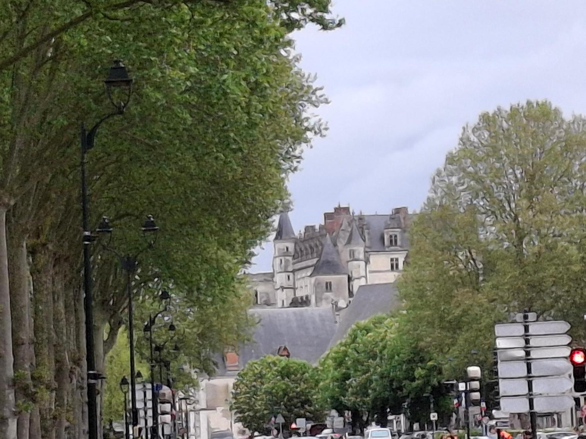 Escale Au Pied Du Chateau Amboise Buitenkant foto
